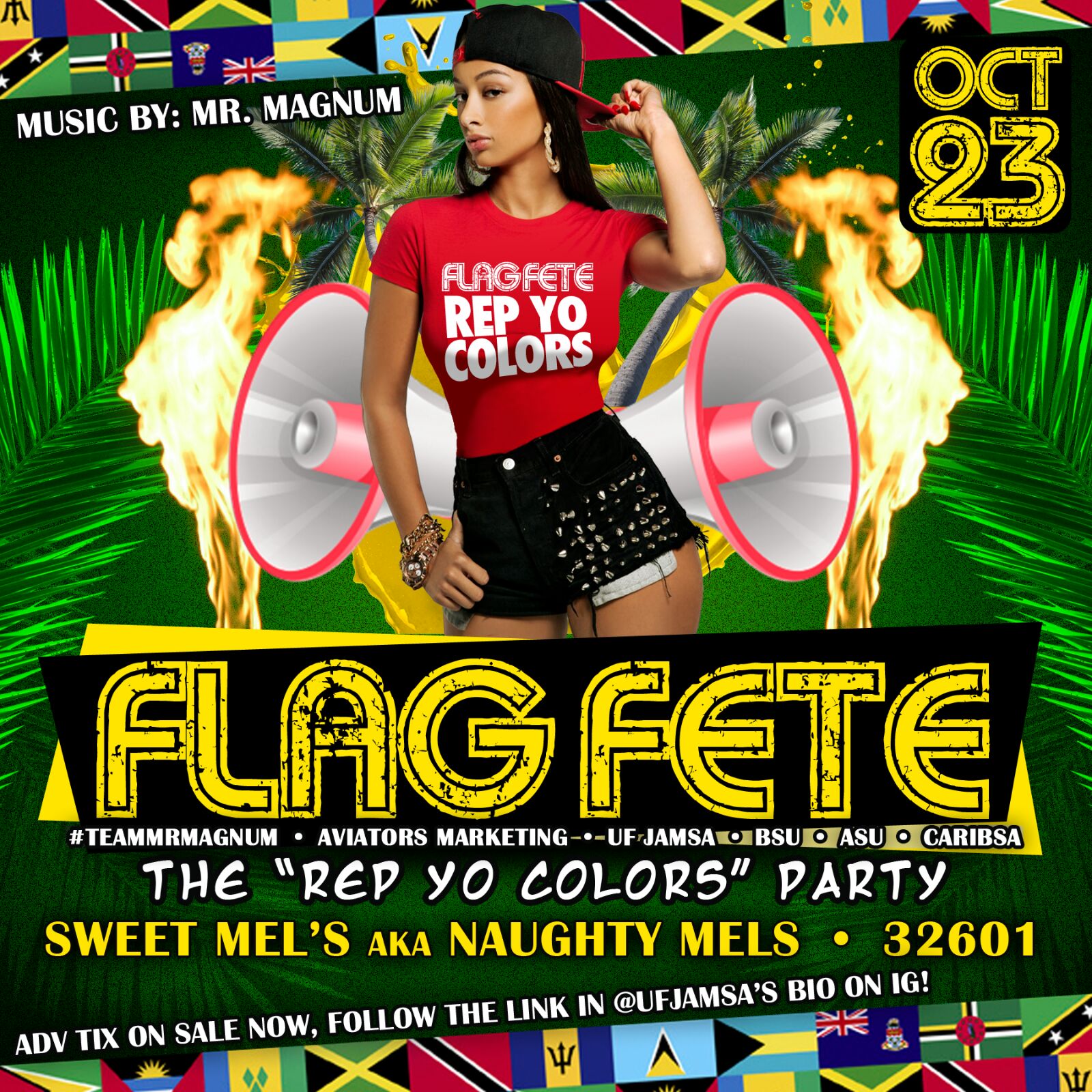 JamSA's Flag Fete 2015 with Music by Mr. Magnum
